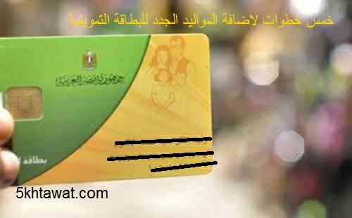 فتح باب اضافة المواليد 2005 - 2011 لبطاقة التموين بداية من ديسمبر في مكاتب التموين والانترنت