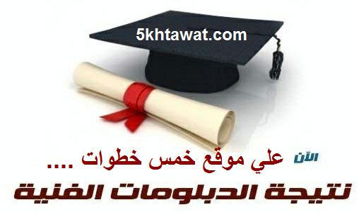 نتيجة دبلوم زراعة 2025 برقم الجلوس وموقع نتائج الدبلومات الفنية استعلم عن نتيجة الدبلوم