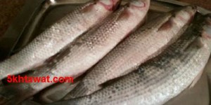 طريقة عمل الفسيخ في البيت وما هي ارشادات تمليح الاسماك ؟