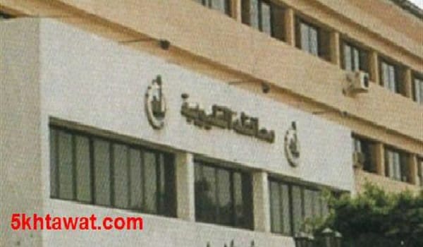 معرفة نتيجة تنسيق رياض الأطفال في القليوبية 2025 المدارس التجريبية والمتميزة