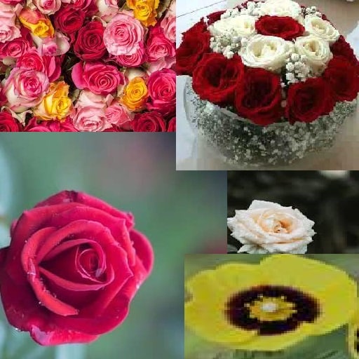 خطوات سعيدة